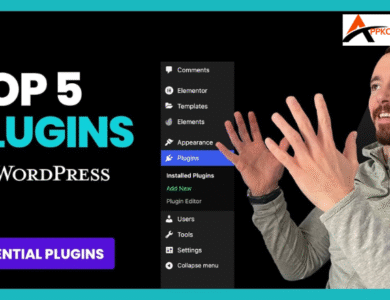 WordPress Plugins