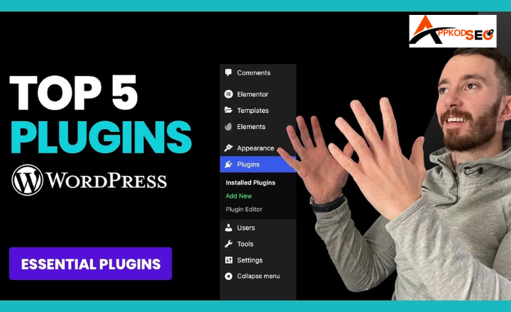 WordPress Plugins