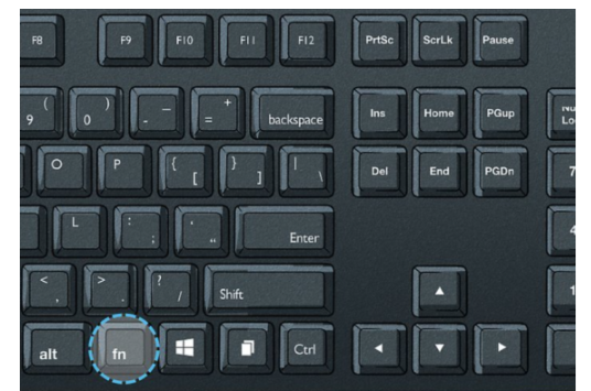How To Screenshot on HP Laptop