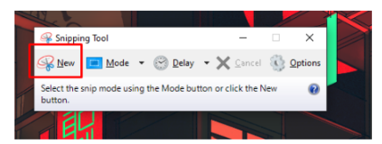 How To Screenshot on HP Laptop