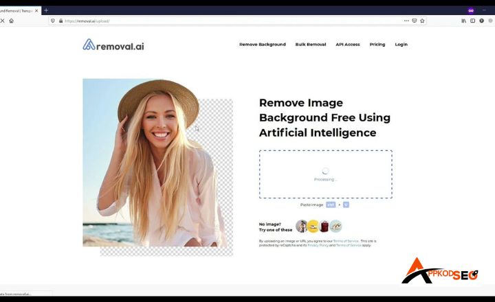 AI Background Remover