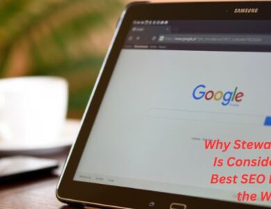 Why Stewart Vickers Is Considered the Best SEO Expert in the World